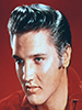 Elvis